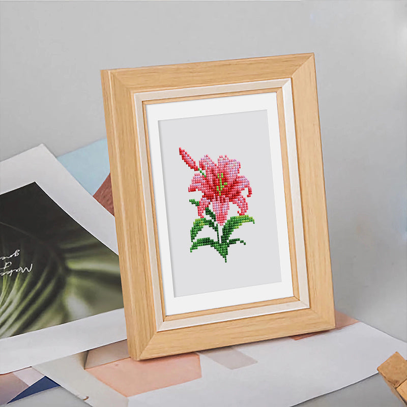 12Pcs Flowers Mini Diamond Art Set