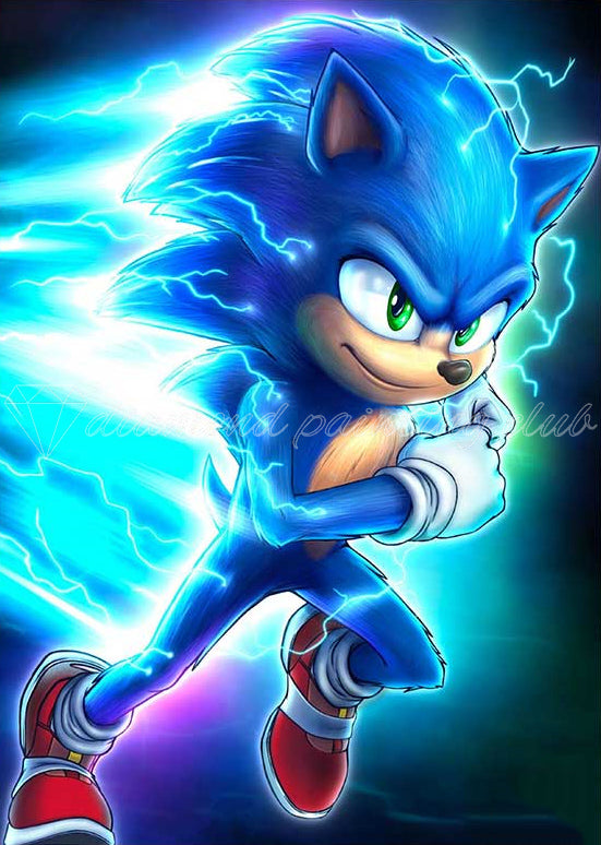 Sonic The Hedgehog Shop Diamond Art