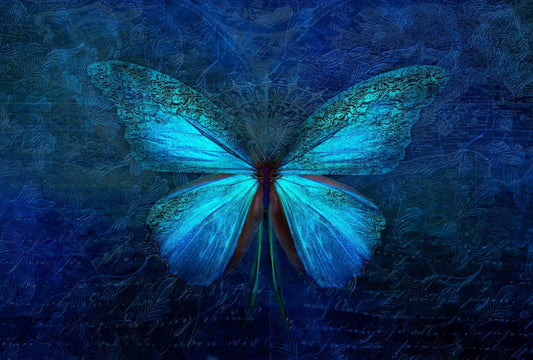 Best Butterfly Diamond Painting Art