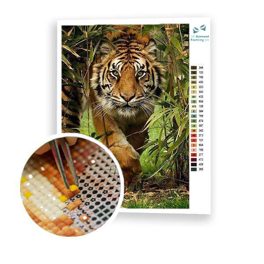 A Tiger's Stare - Meilleur kit de peinture au diamant 
