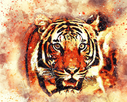 Abstract Tiger - Animals paint by numbers