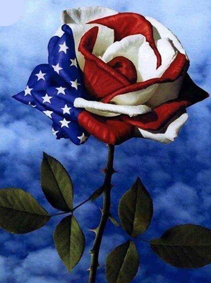 American Flag Rose -  paint by numbers