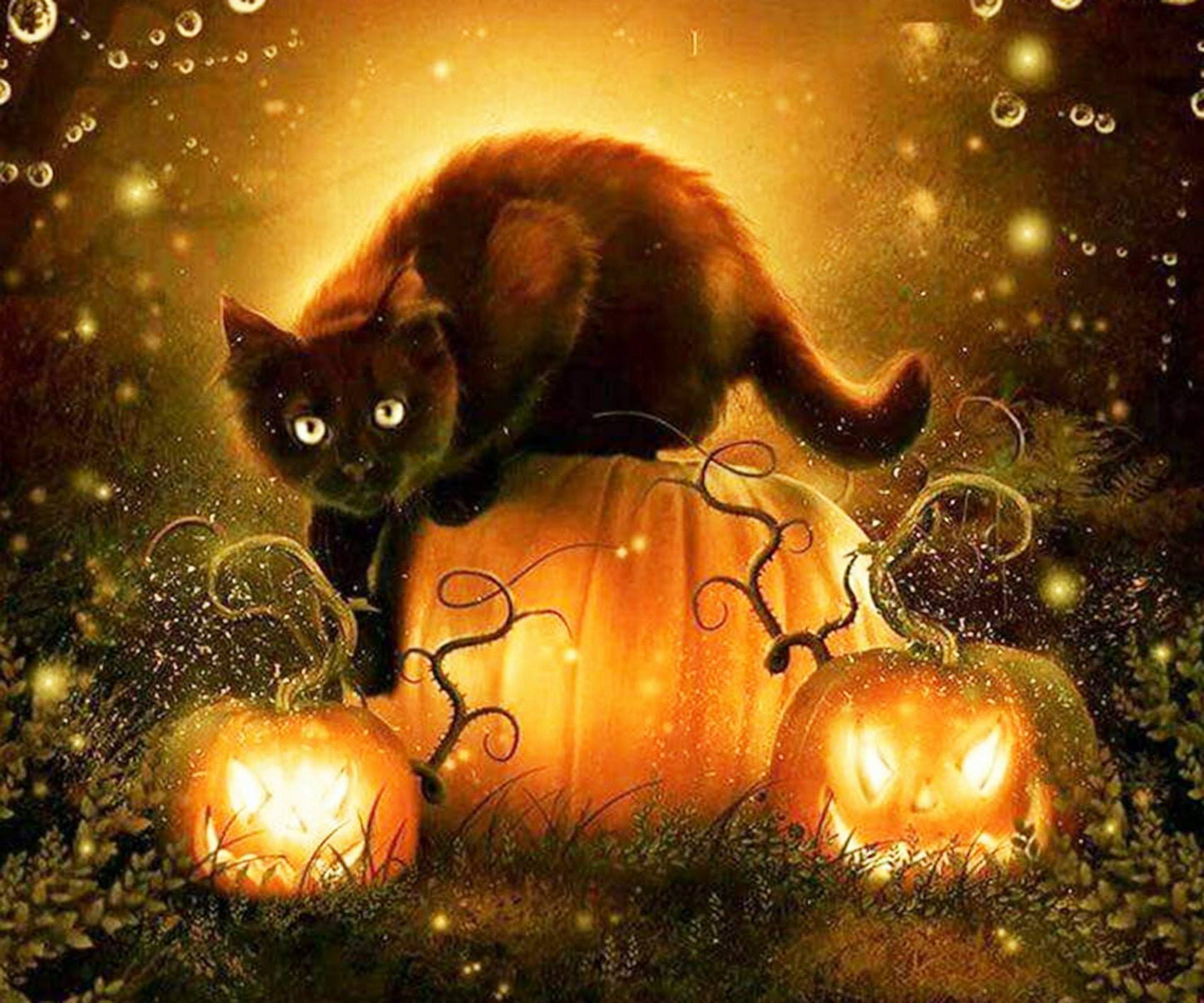 Black Cat & Pumpkin - Halloween Diamond Art