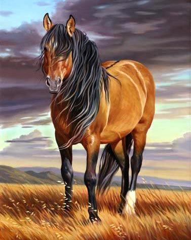 Brown Horse - Best Diamond Art