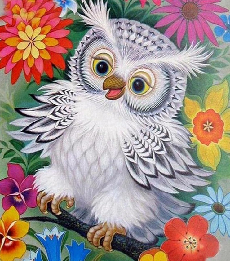 Owl paint by numbers