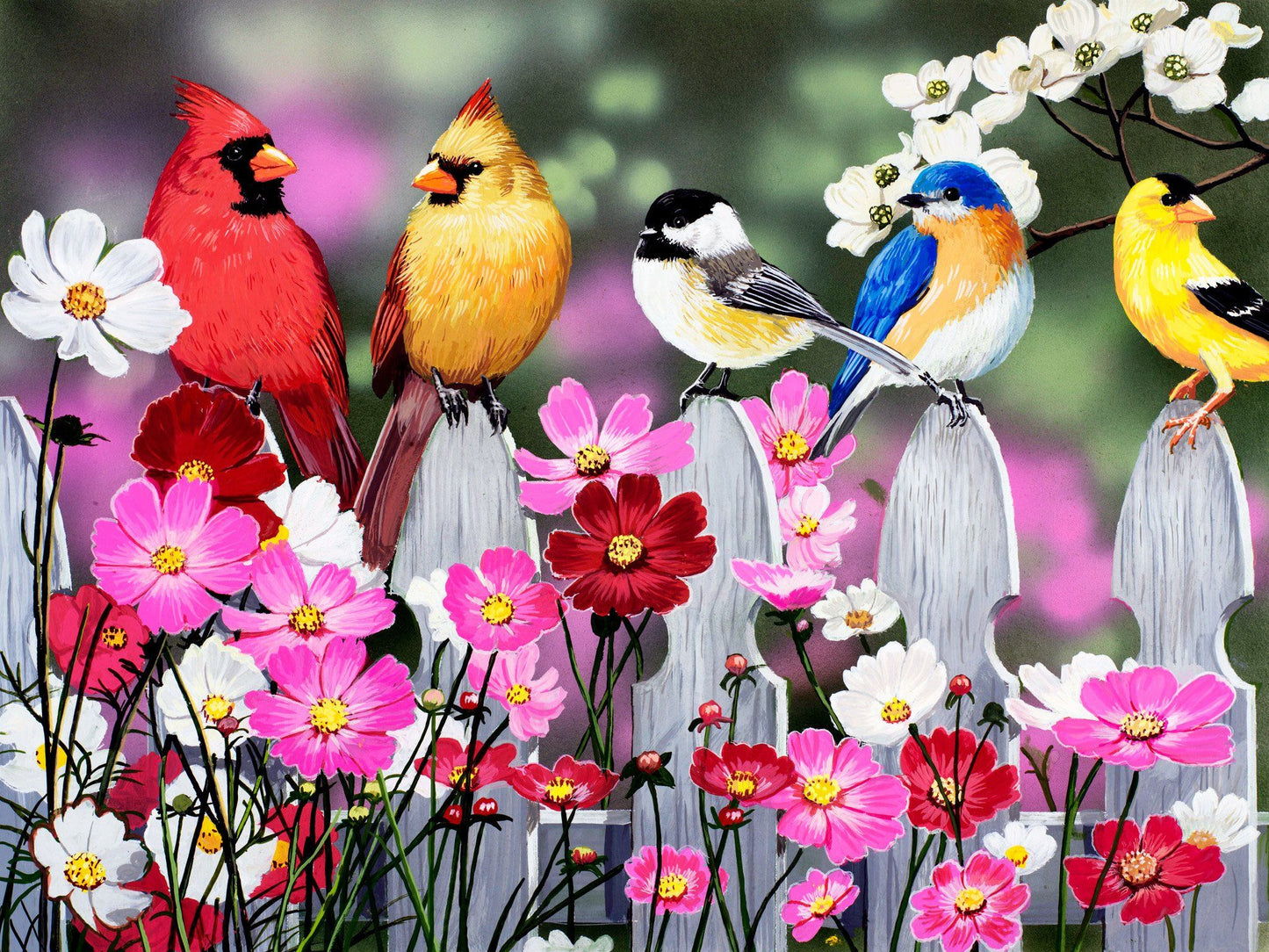 Gorgeous Birds & Flowers paint by numbers
