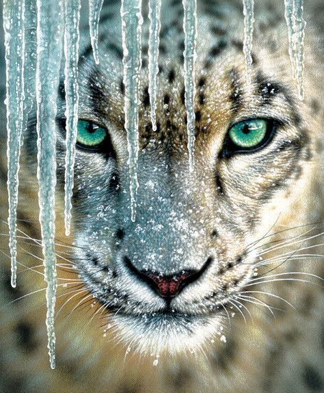 Green Eyes Puma Tiger - 5D Diamond Painting set - All Diamond Painting Art