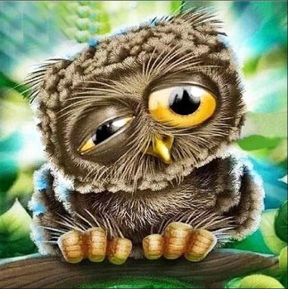 Sleepy Cartoon Owl Diamond Painting
