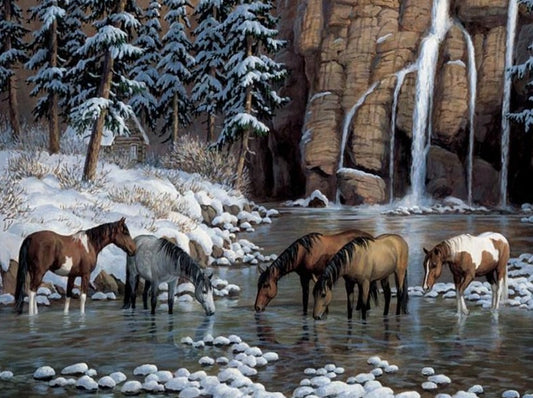 Spirit of the Rockies - Wild Horses