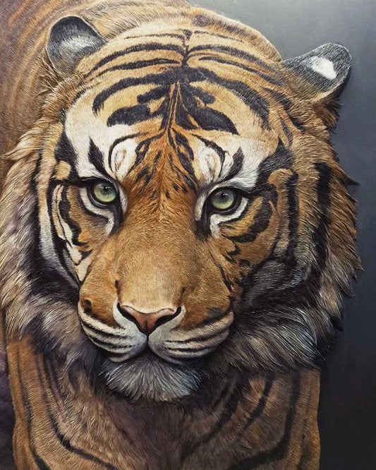 Superbe Tigre - Peinture Aux Diamants 