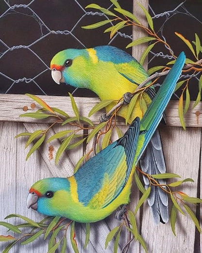 Couple d'oiseaux doux - Kit de peinture au diamant 