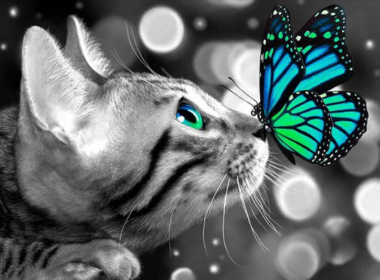 Meilleur chat et papillon diamant peinture 