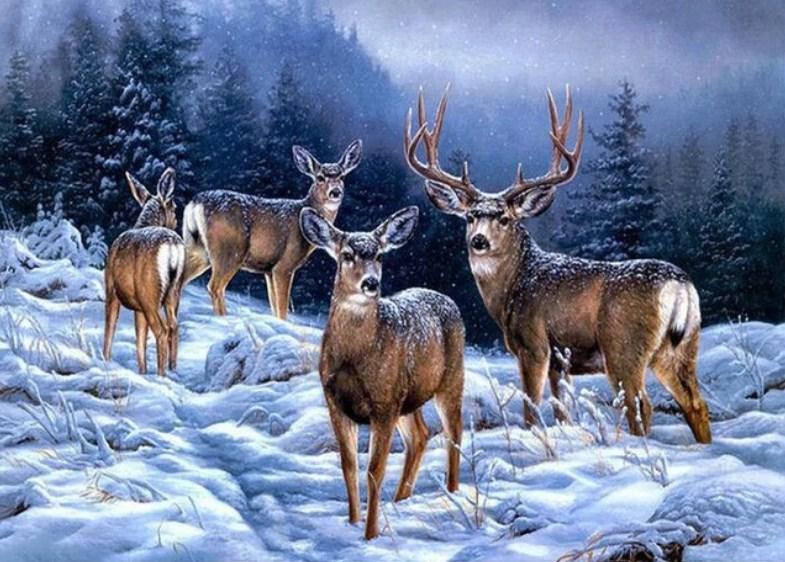 Winter Deer - Diamond Painting Kit