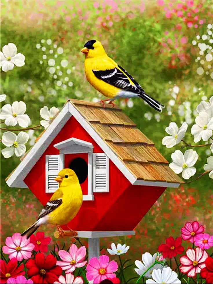 Yellow Birds Couple - Diamond Art Kit