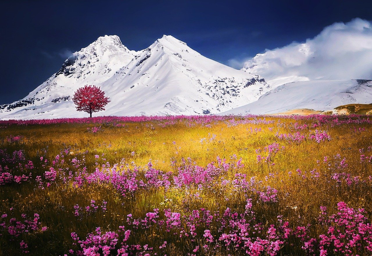 Snow Mountains & Purple Field - Best Diamond Art - All Diamond Painting Art