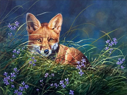 Red Fox In Grass - All Diamond Painting Art