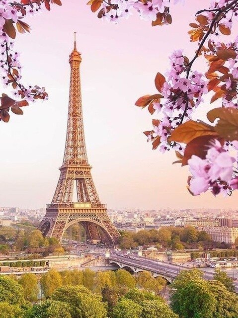 Beautiful Flower Eiffel Tower Diamond Painting Kit - All Diamond Painting Art